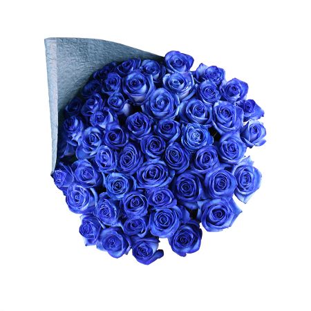 Bouquet Из 51 синей розы