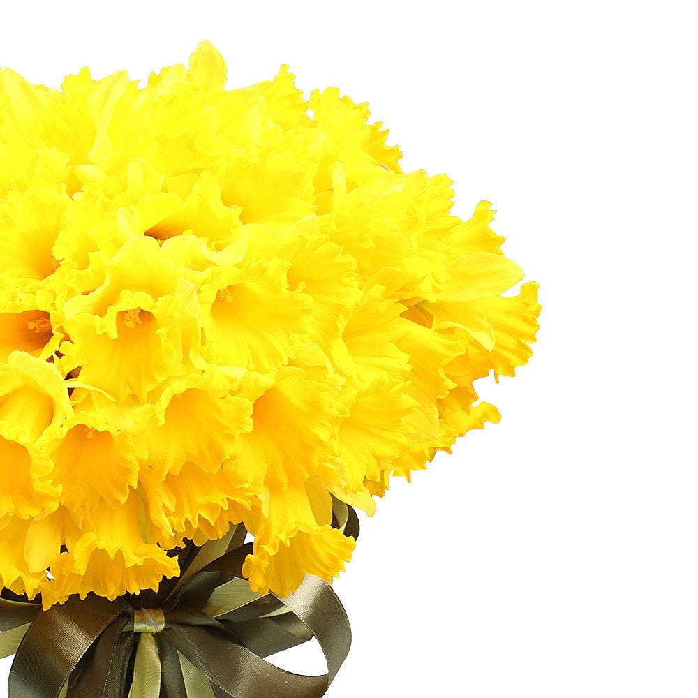 Bouquet 101 yellow daffodil