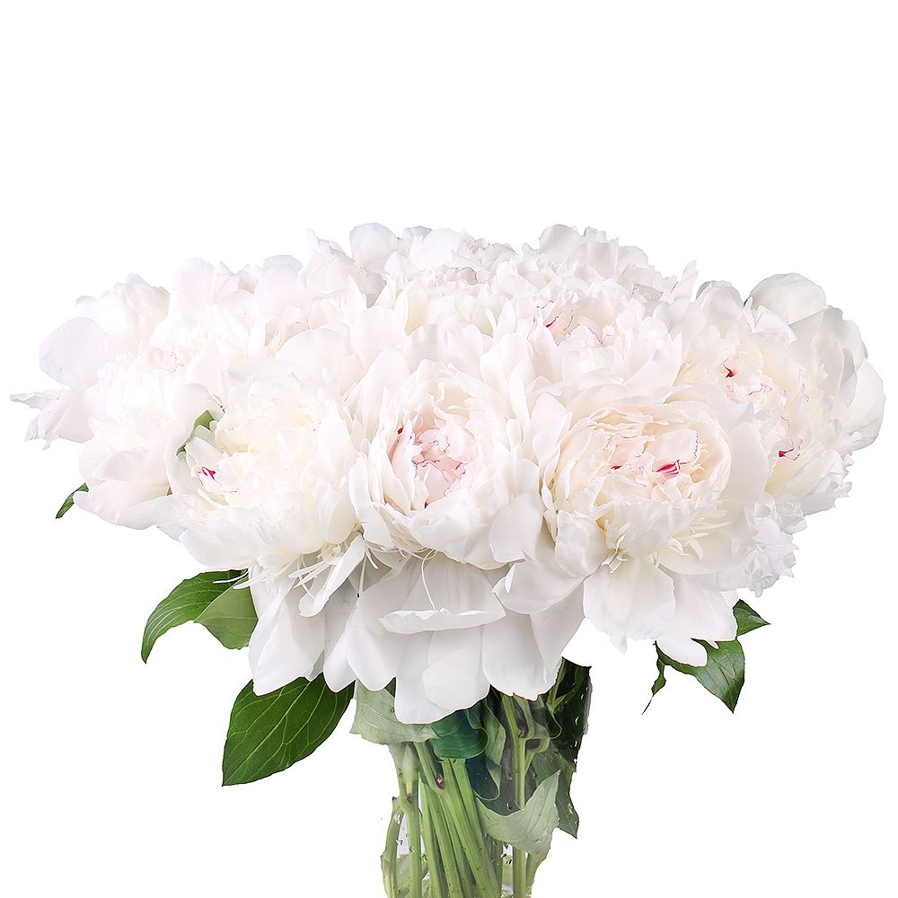 Bouquet White peonies by piece