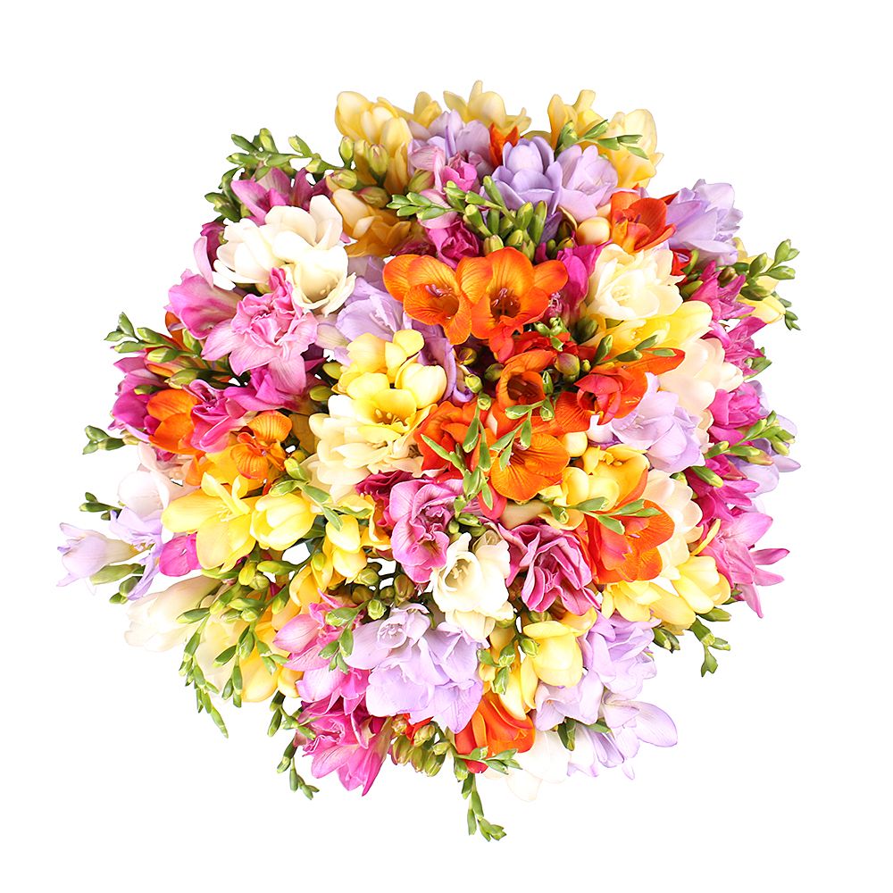 Bouquet Of the 65 multi-colored freesias