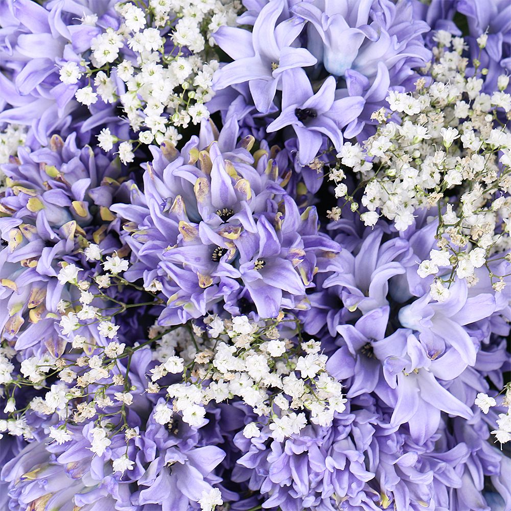 Bouquet Fragrant