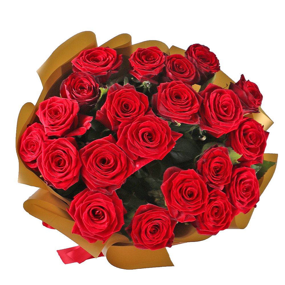 Bouquet 21 roses Dnepr
