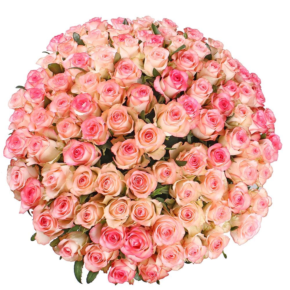 Bouquet 101 white-and-pink roses