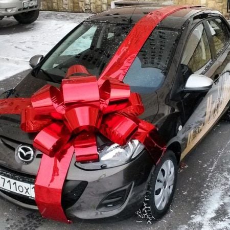 Buy gift bow on a car in the internet shop with delivery
