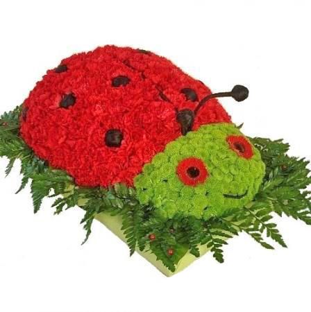 Bouquet Ladybird