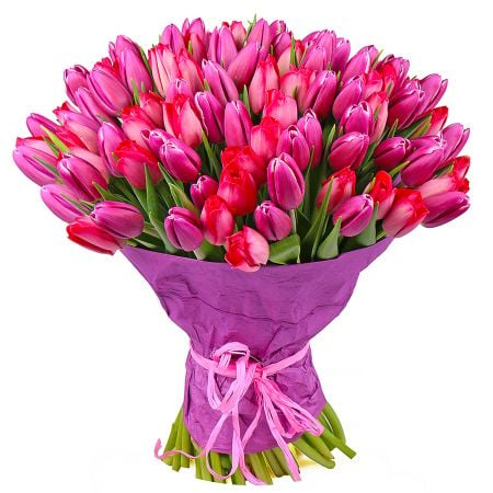 Order bouquet composed from 101 tulips in the internet-shop UFL. Fast delivery!