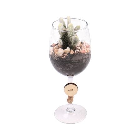 Product Florarium in a glass