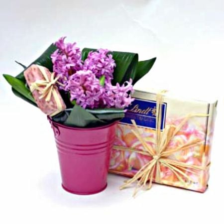 Bouquet Hyacinths + сhocolates