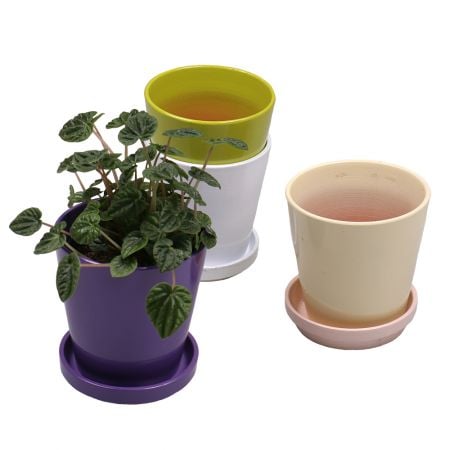 Product Ceramic pot