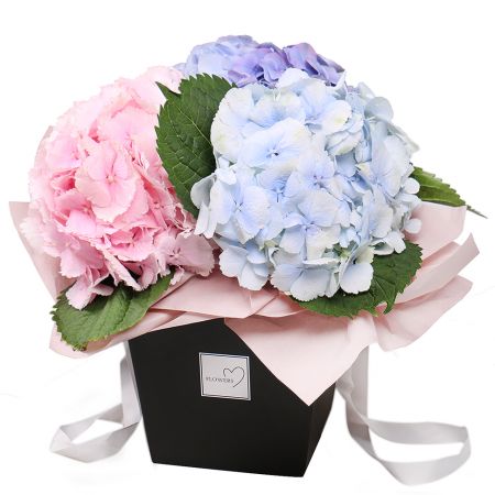 Bouquet Hydrangea in a box