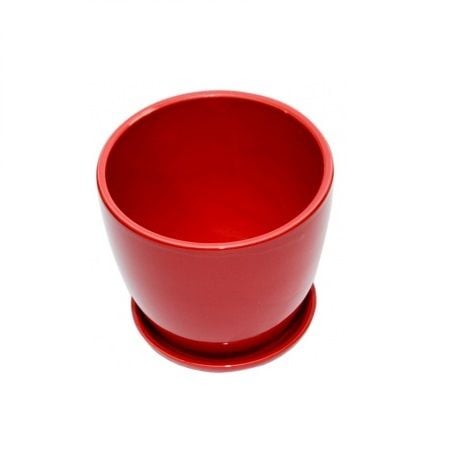 Order red ceramic pot small plants with delivery