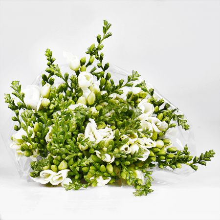 Bouquet Wholesale Fresia white