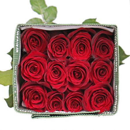 Product Wholesale Rose Explorer (Ecuador)
