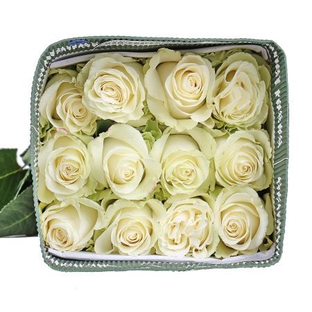 Product Wholesale Rose Mondial (Ecuador)