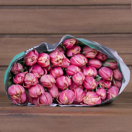Product Wholesale Tulips Columbus Double