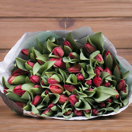 Product Wholesale Tulips Strong Fire