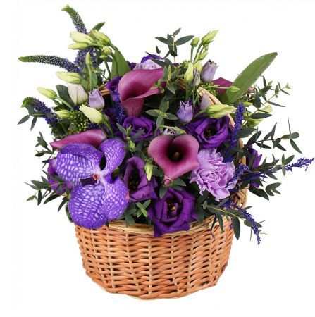 Bouquet Plum present