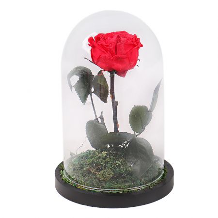 Product Stabilized Red Rose in a Flask