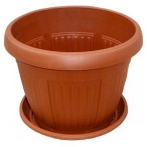 Order a pot with stand (16 cm) with delivery