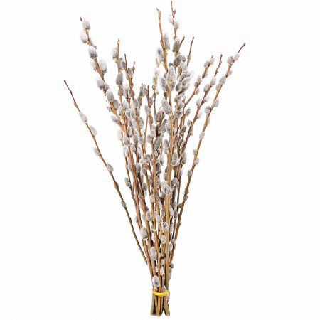 Bouquet Willow branches