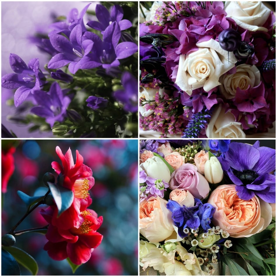 number_of_flowers_two number_of_flowers_two