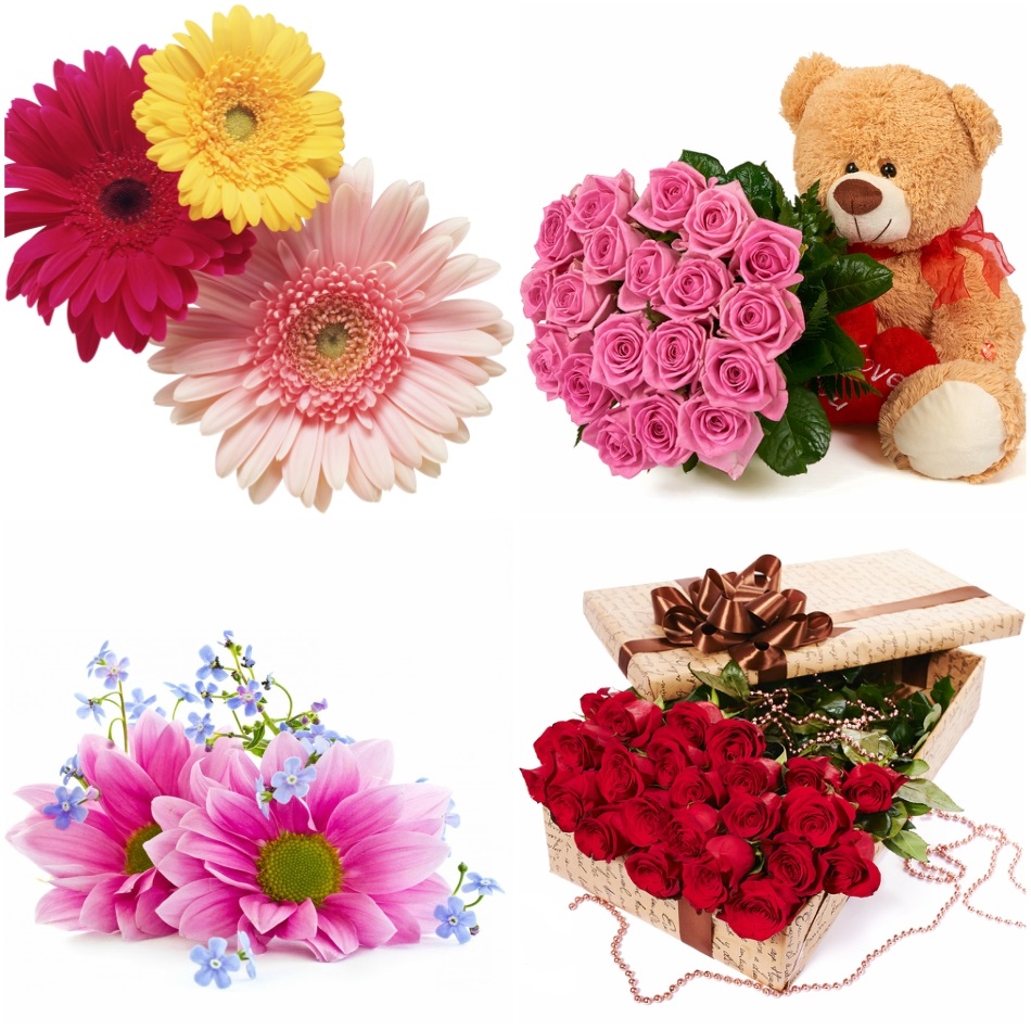 number_of_flowers_meaning_one number_of_flowers_meaning_one